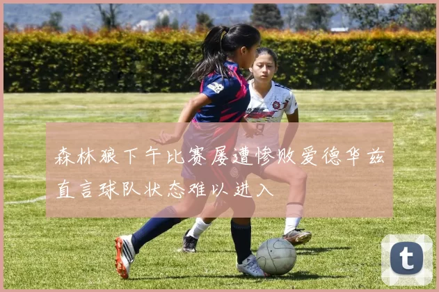 森林狼下午比赛屡遭惨败爱德华兹直言球队状态难以进入