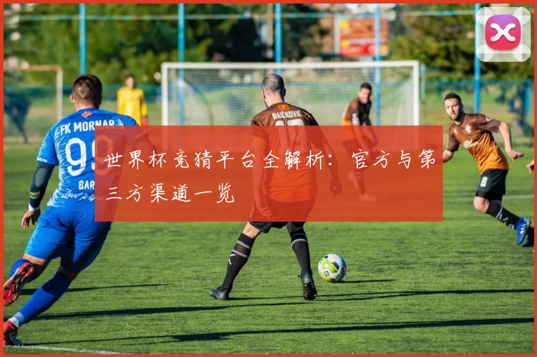 世界杯竞猜平台全解析：官方与第三方渠道一览