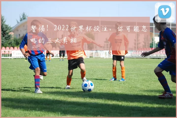 警惕！2022世界杯投注，你可能忽略的三大真相