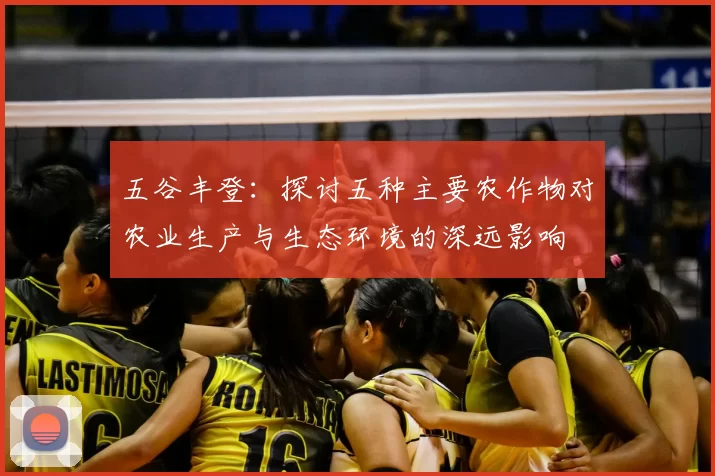 五谷丰登：探讨五种主要农作物对农业生产与生态环境的深远影响