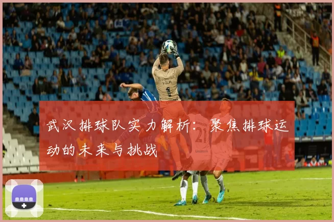 武汉排球队实力解析：聚焦排球运动的未来与挑战