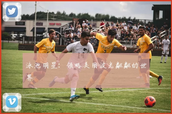 泳池明星：领略美丽波光粼粼的世界