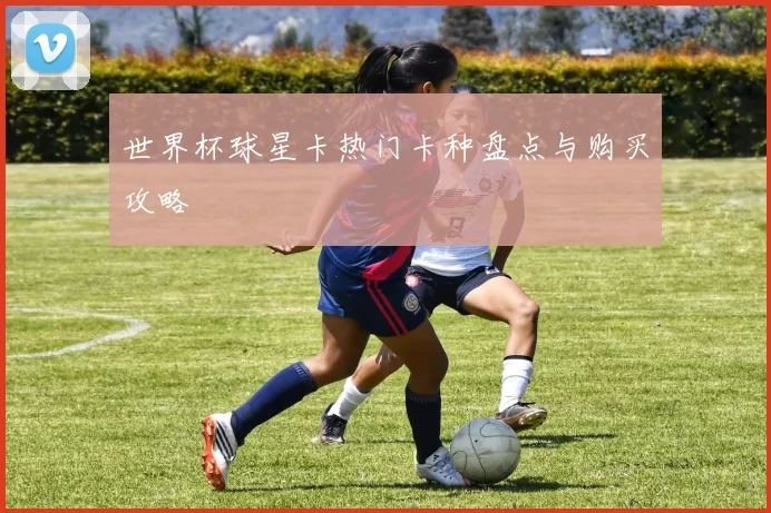 世界杯球星卡热门卡种盘点与购买攻略