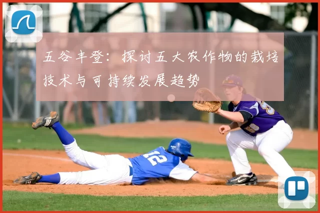 五谷丰登：探讨五大农作物的栽培技术与可持续发展趋势