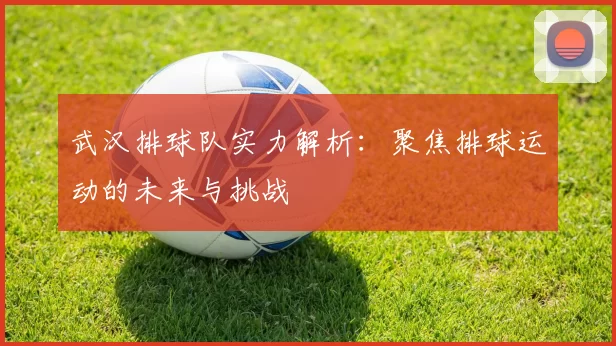 武汉排球队实力解析：聚焦排球运动的未来与挑战