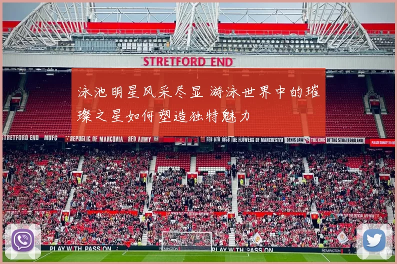 泳池明星风采尽显 游泳世界中的璀璨之星如何塑造独特魅力