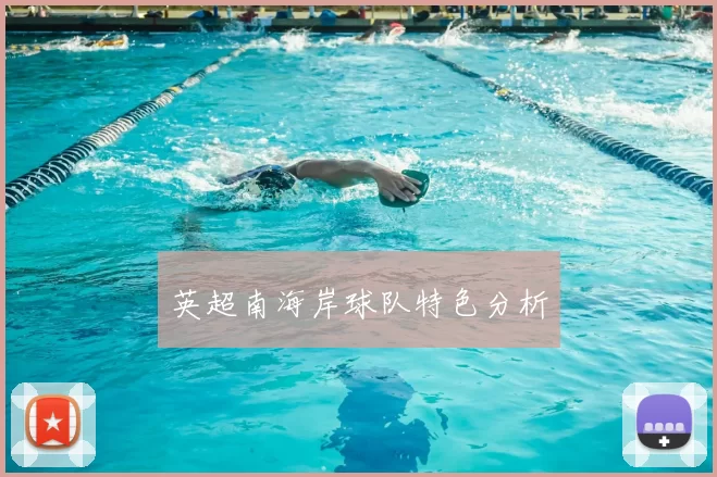 英超南海岸球队特色分析