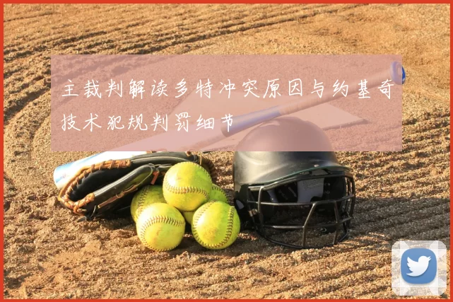 主裁判解读多特冲突原因与约基奇技术犯规判罚细节
