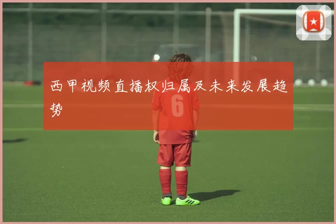 西甲视频直播权归属及未来发展趋势
