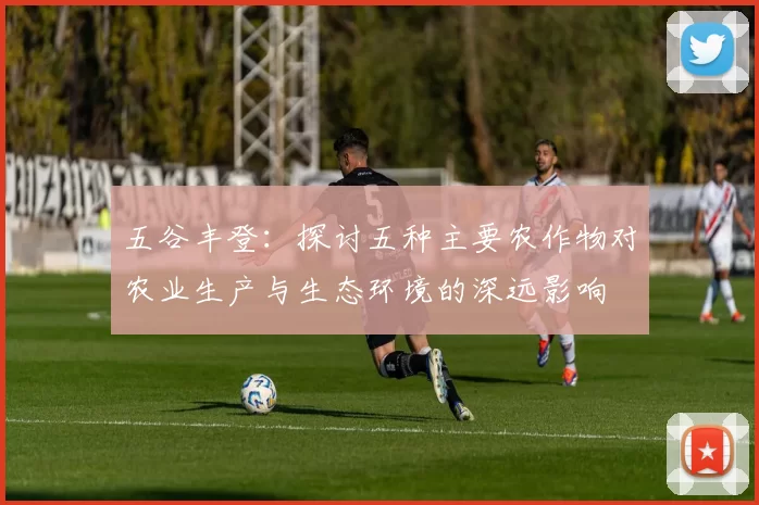 五谷丰登：探讨五种主要农作物对农业生产与生态环境的深远影响